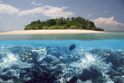 Tour Likupang