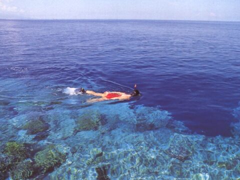 Snorkeling Tour Pulau Bunaken,