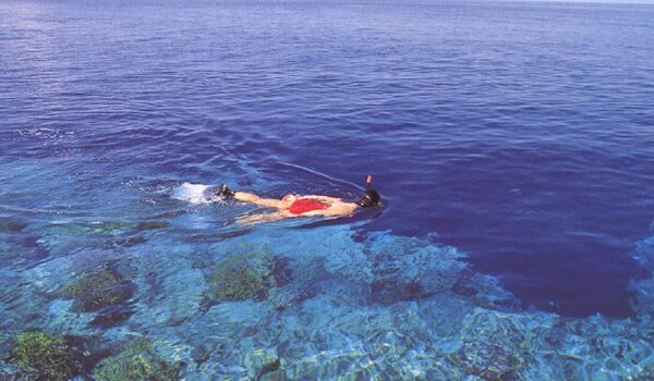 Snorkeling Tour Pulau Bunaken,
