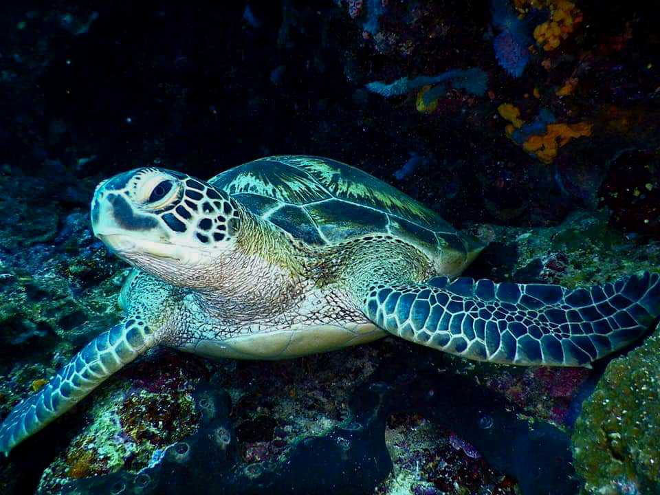 Liburan Petualangan Sulawesi