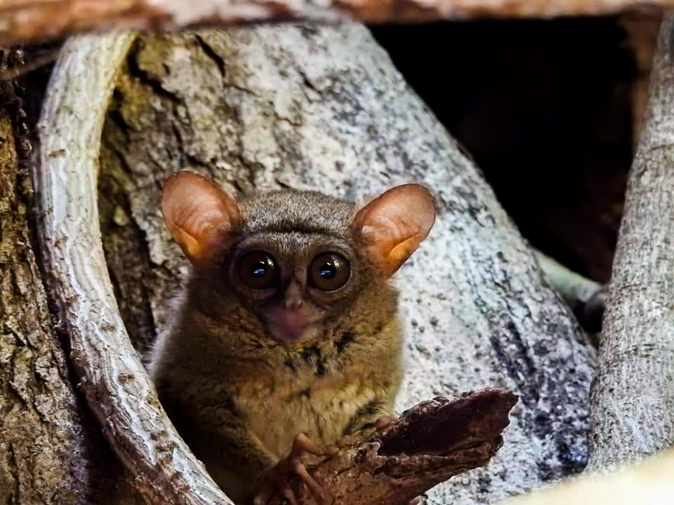 Liburan Petualangan Sulawesi, Keliling Sulawesi Utara