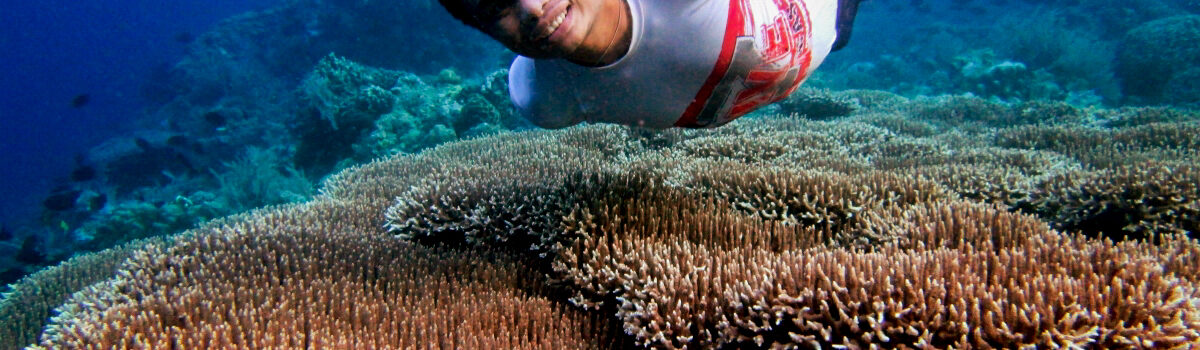 Paket Tour Bunaken, Liburan Pulau Bunaken, Tour Lanskap Manado,