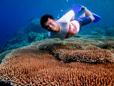 Paket Tour Bunaken, Liburan Pulau Bunaken, Tour Lanskap Manado,