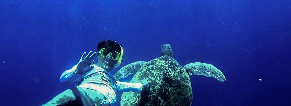 Liburan Pulau Bunaken, Tamasya Pulau Bunaken, Likupang Island Hopping, Paket Wisata Bunaken,