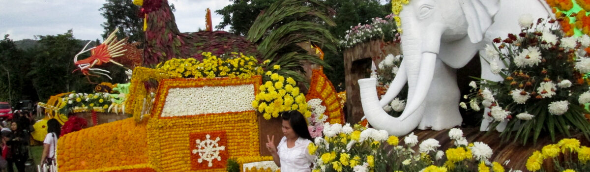 Tomohon International Flower Festival, Paket TIFF dan Manado