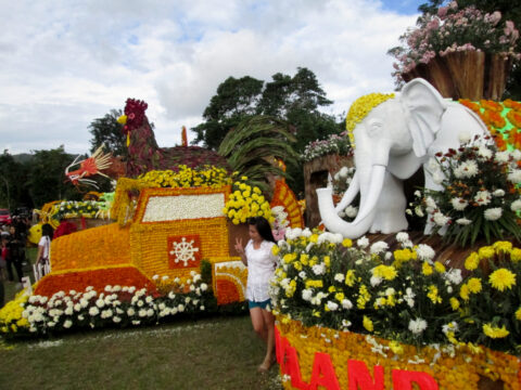 Tomohon International Flower Festival, Paket TIFF dan Manado