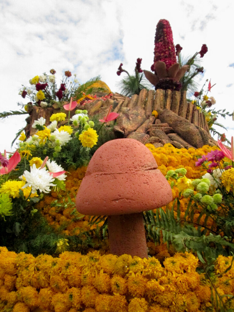 Tomohon International Flower Festival