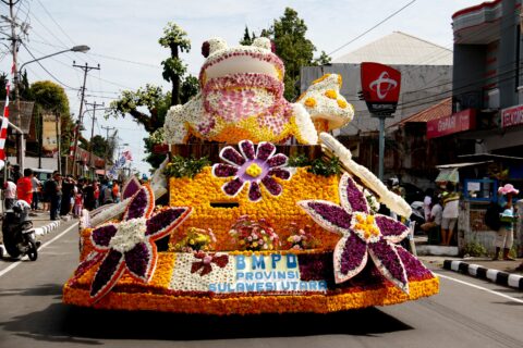 Tomohon International Flower Festival, Tournament of Flowers, Paket TIFF dan Bunaken