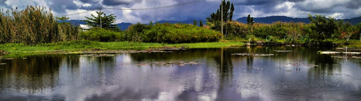 Pesona Tanah Minahasa, Paket Study Banding
