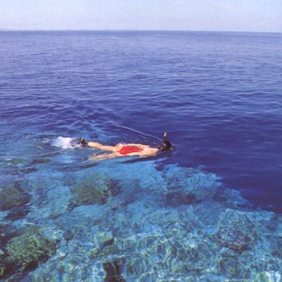 Snorkeling Tour Pulau Bunaken,