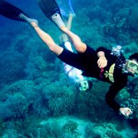 Snorkeling di Taman Laut Bunaken Tour Pulau Lihaga, Snorkeling Tour Pulau Bunaken