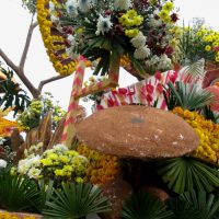Wisata Festival Bunga, Tournament of Flowers