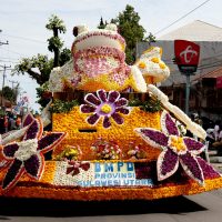 Tomohon International Flower Festival, Tournament of Flowers, Paket TIFF dan Bunaken