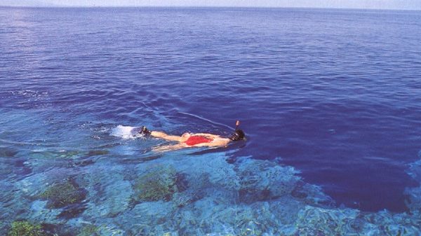 Snorkeling Tour in Bunaken, sea world, North Sulawesi Coral-Ventures, Flanation Tours, Shore Excursions