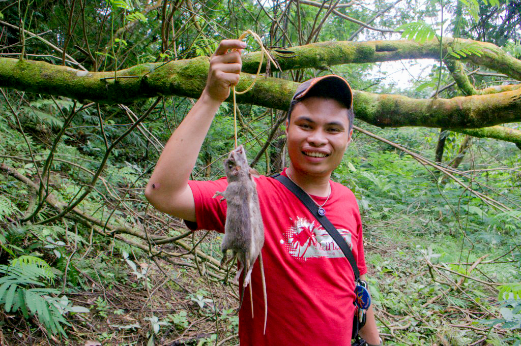 Hunting Rats