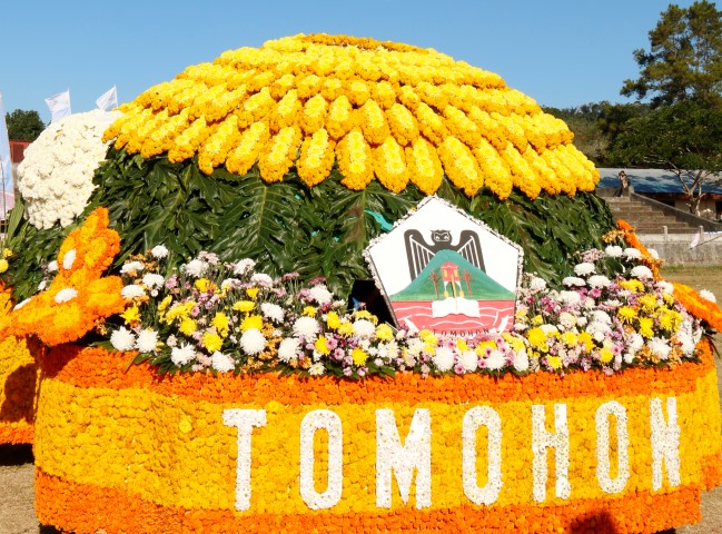 Tomohon International Flower Festival, Flanation Tours, Tomohon City Excursion