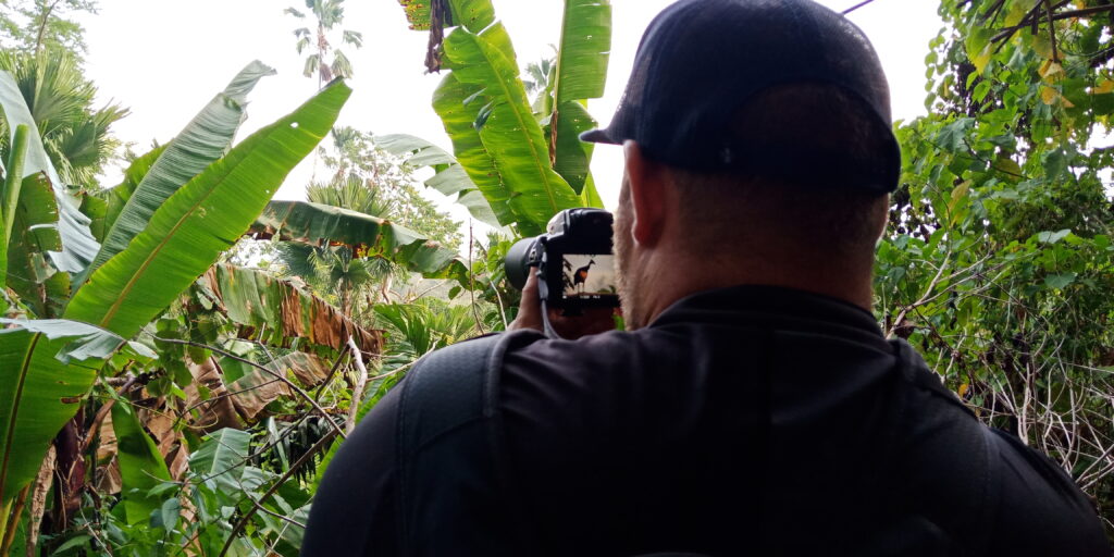 Dumoga Forest, Minahasa Mountain Treks