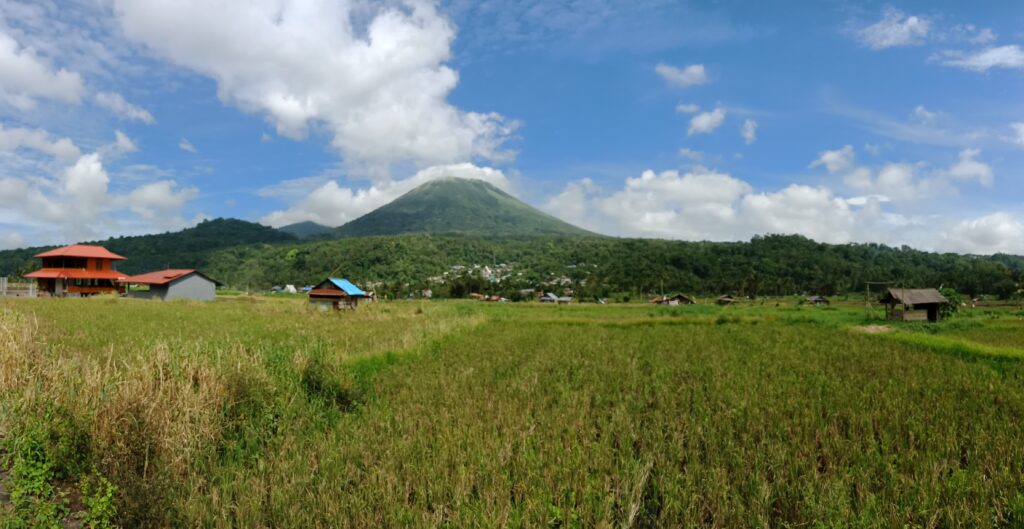 Tomohon Floral Festival