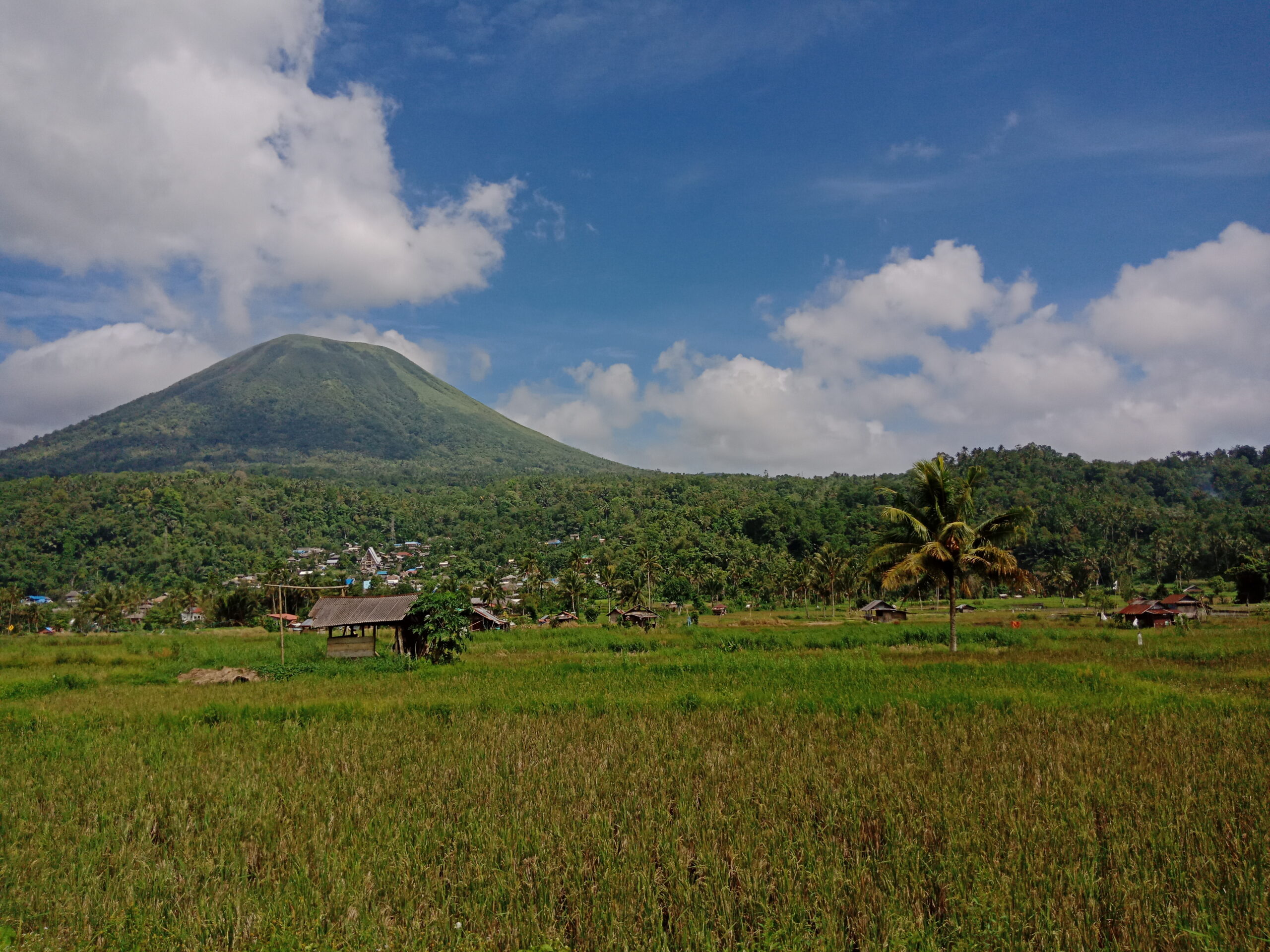 Lush Tomohon Nature