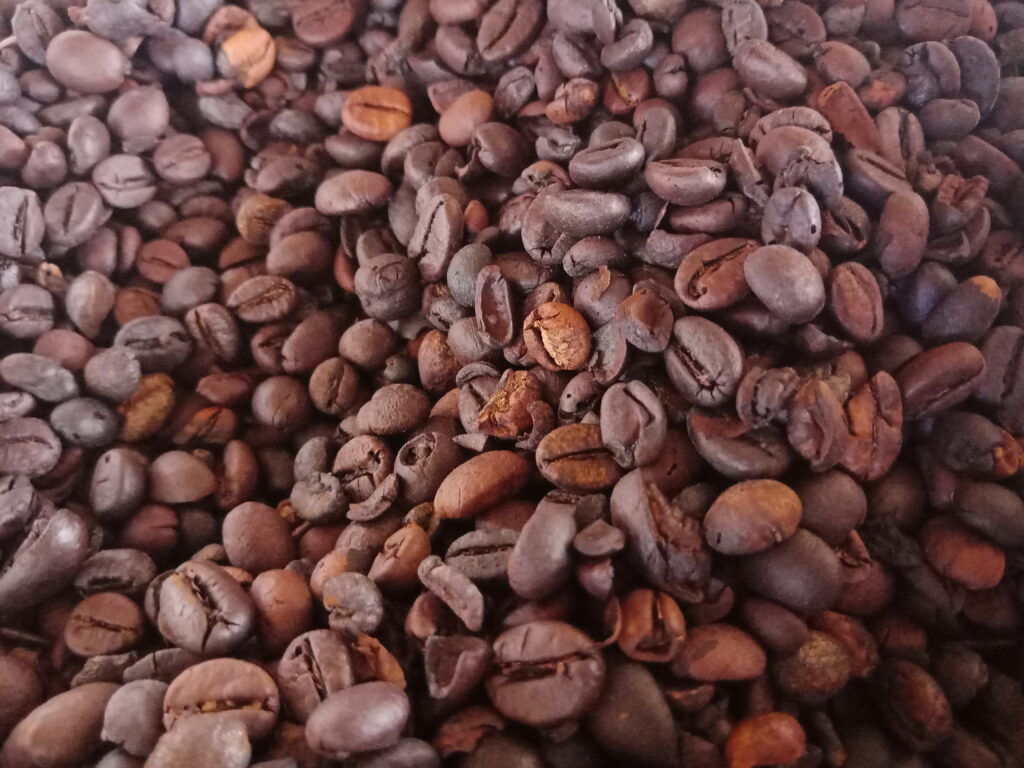 Coffee Bean, Tour in North Sulawesi