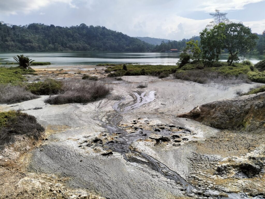 Lush Tomohon Nature