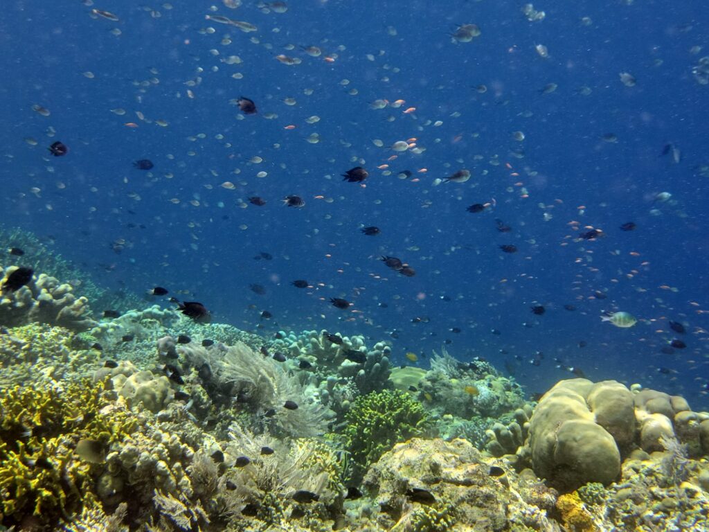 Minahasa Rural Exploration, Sulawesi Coastal