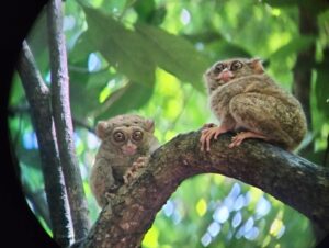 Minahasa Rural Exploration, North Sulawesi's Emerald Trails