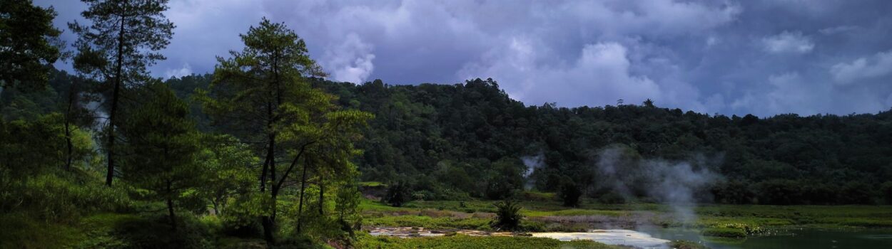 Verdant North Sulawesi Discovery