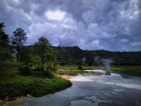 Verdant North Sulawesi Discovery