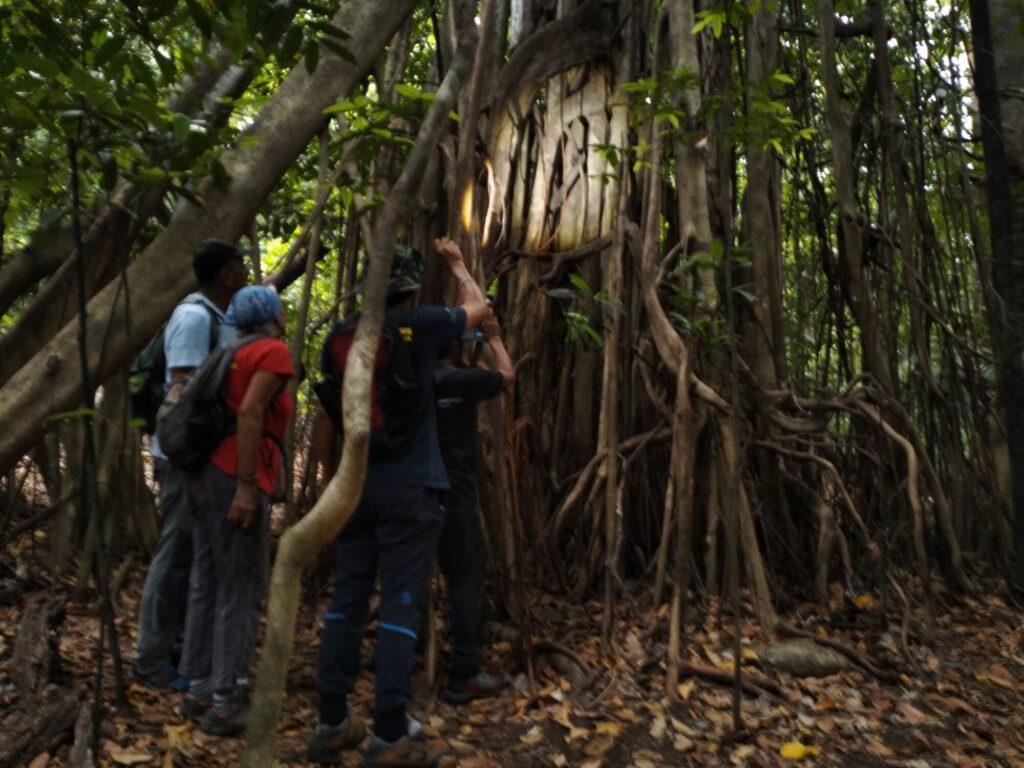 North Sulawesi's Emerald Trails, Biodiversity Trails of North Sulawesi