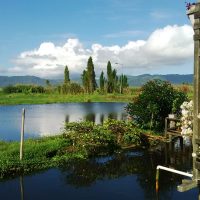 Minahasa Highland Excursion, Explore Minahasa Heartland, Verdant North Sulawesi Discovery