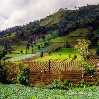 Tomohon Scenic Tour, Minahasa Cultural Excursion