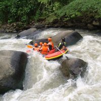 Flanation Tours