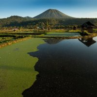 Trekking Mount Lokon, Exploring Parks