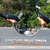 Birding Tour