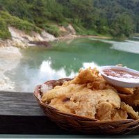 Eco Tours Sulawesi, Tomohon International Flower Festival