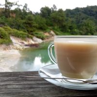 Northern Sulawesi Bonding,