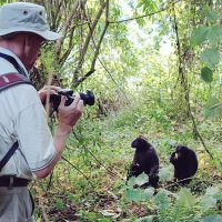 Tangkoko Nature Reserve, Exploring Parks, Tour in North Sulawesi, Shore Excursions