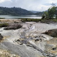 Lush Tomohon Nature, Sulawesi's Northern Sanctuary