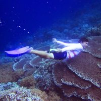 Minahasa Land Vacation, Manado Aquatique, Tour in North Sulawesi