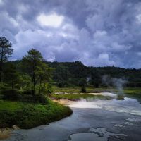 Verdant North Sulawesi Discovery