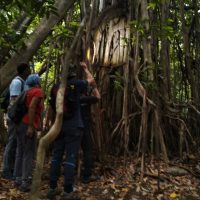 North Sulawesi's Emerald Trails, Biodiversity Trails of North Sulawesi